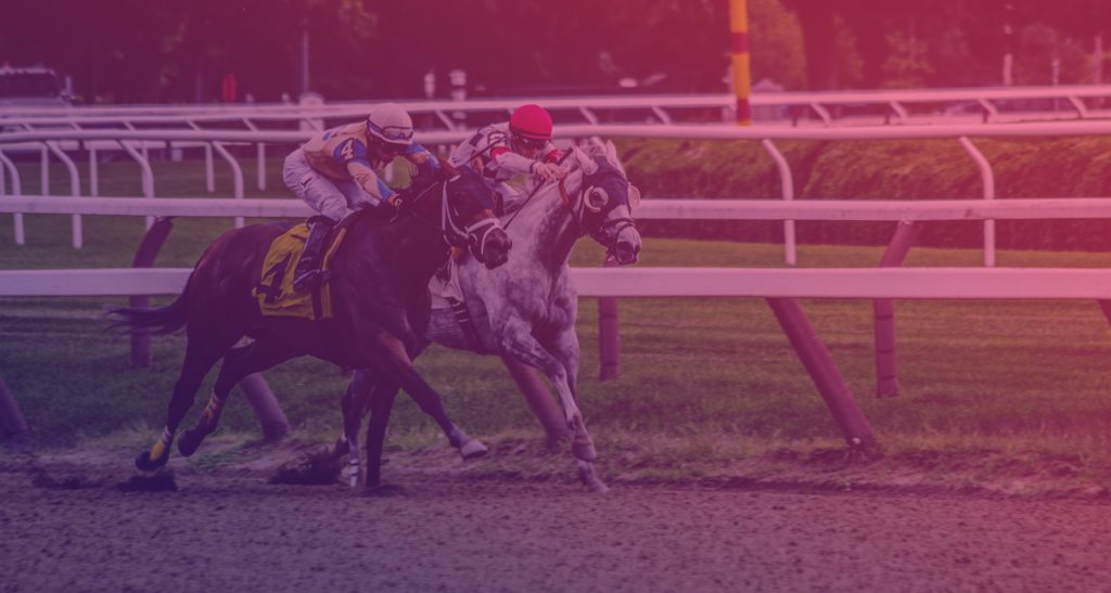 horse racing